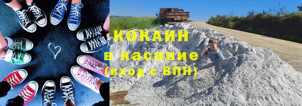 амф Алексин
