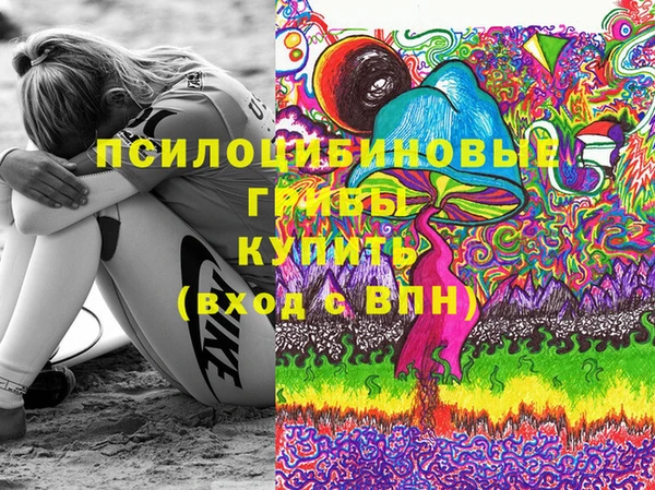 мяу мяу мука Алзамай