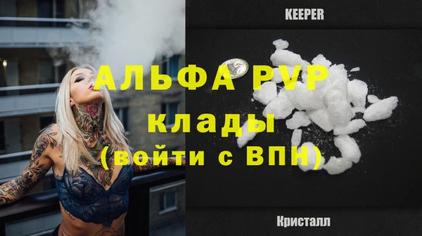 амф Алексин