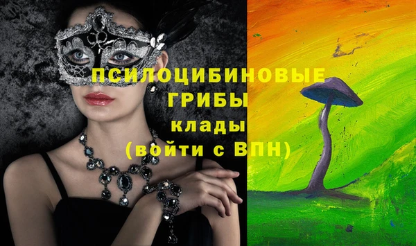 амф Алексин